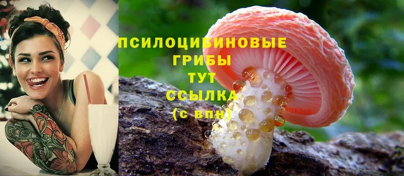 Галлюциногенные грибы Magic Shrooms  цена наркотик  Инта 